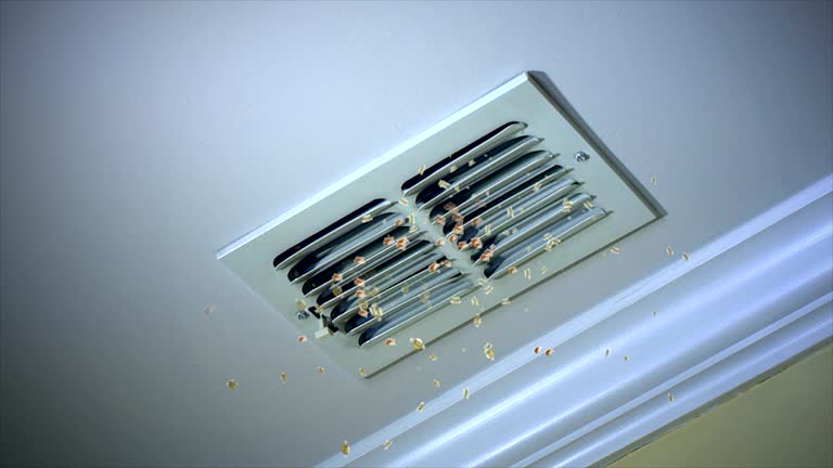 Best Professional Duct Cleaning Services  in Galena Park, TX