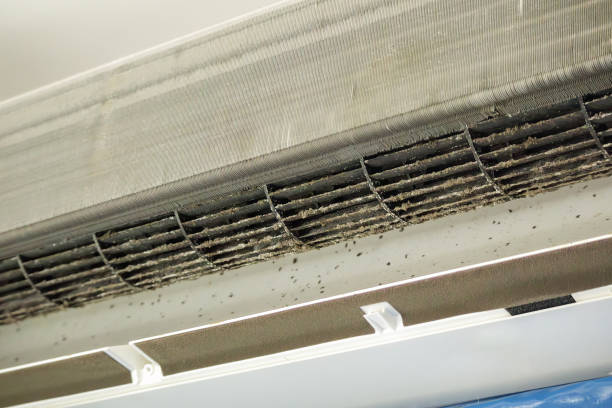 Best Affordable Duct Cleaning Services  in Galena Park, TX